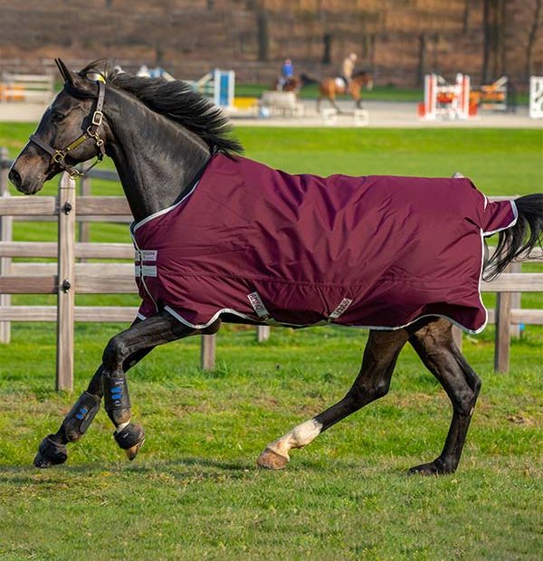 Horseware Amigo® Hero 600D mit Ripstop