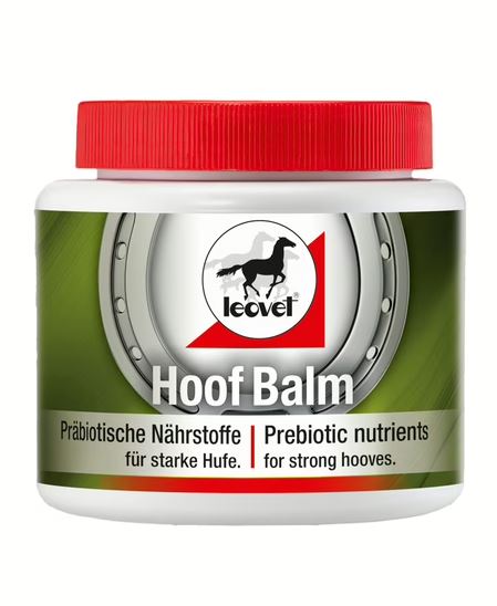 leovet Hoof Balm Prebiotic 450ml