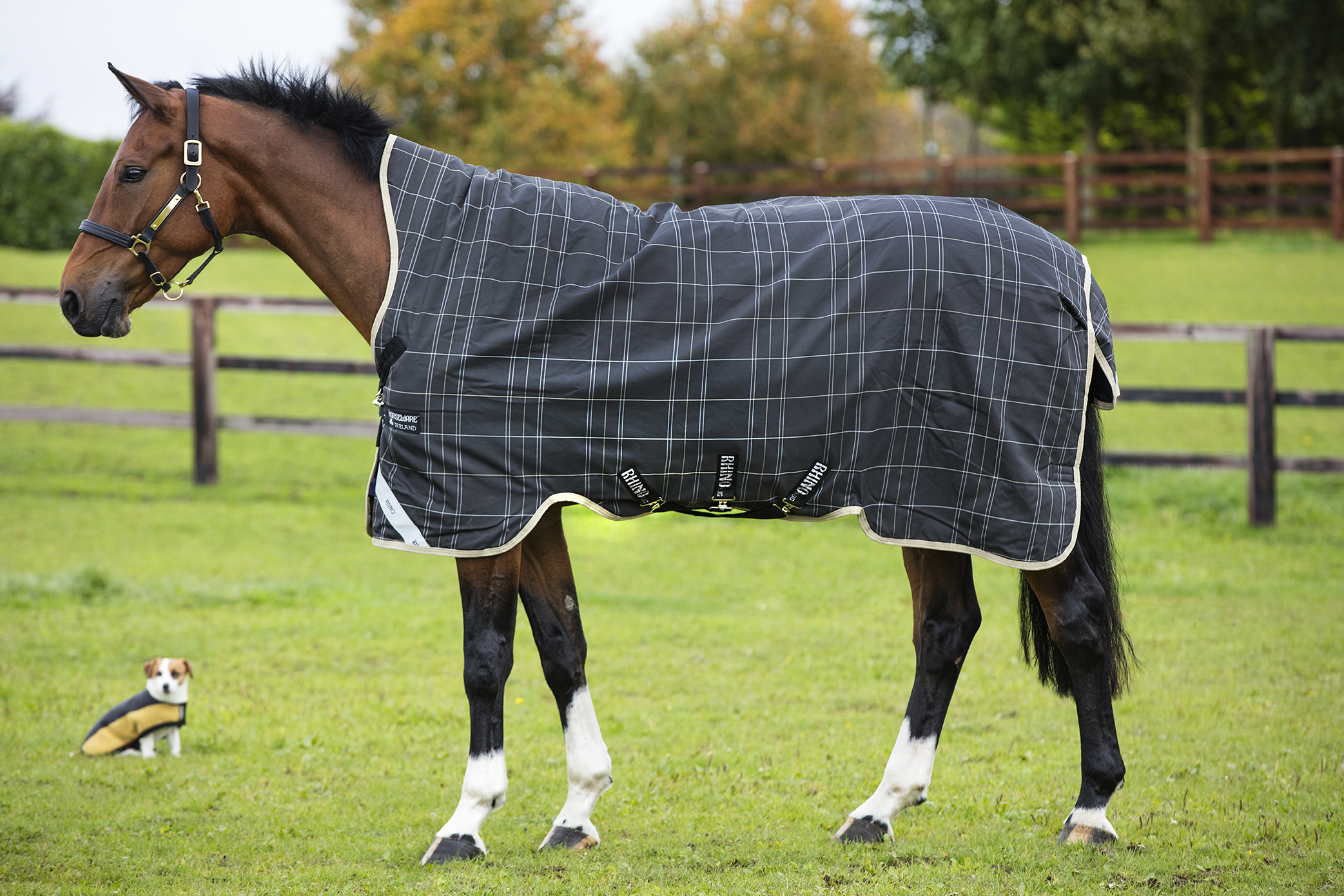 Horseware Decke Rhino Wug Turnout Medium 250g