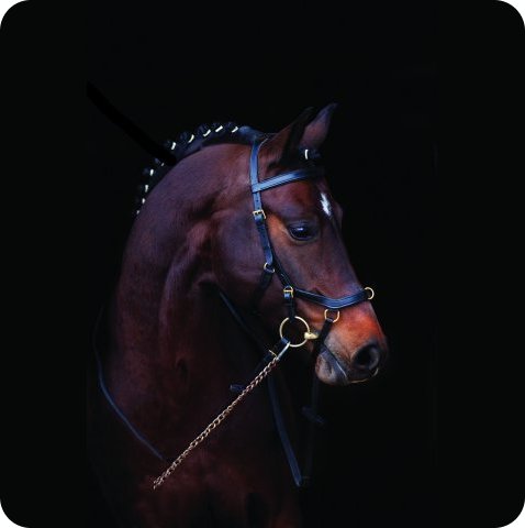 Horseware Rambo Micklem Multibridle