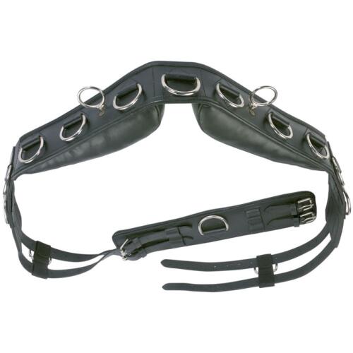 Busse Longiergurt PROFESSIONAL Leder Warmblut