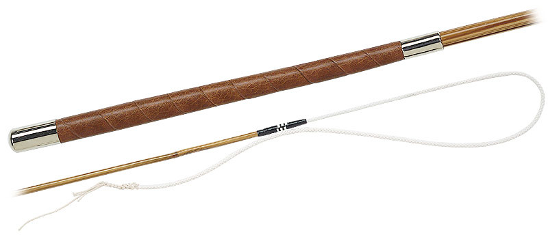 Fleck Bogenpeitsche Bambus ultraleicht 120cm