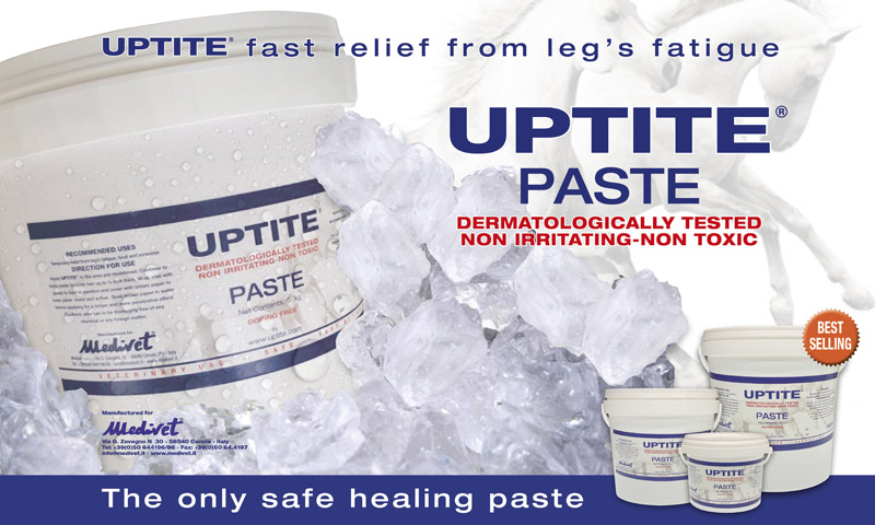 Medivet uptite Kühlpaste 2kg