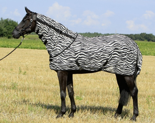 Waldhausen Fliegendecke Zebra