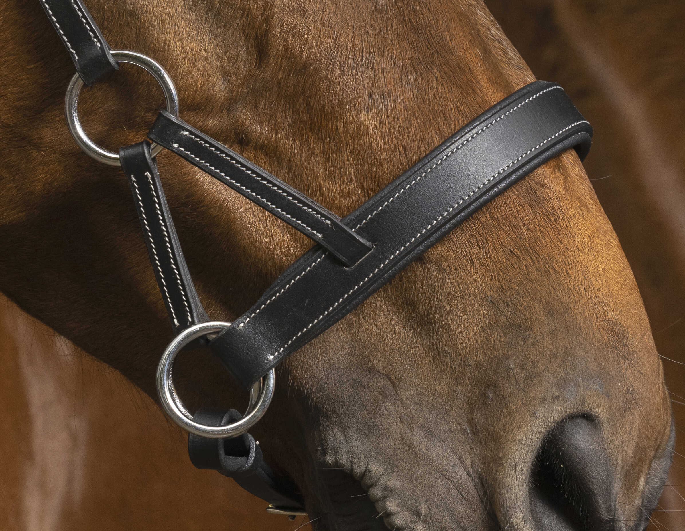 NORTON PRO - Komfort - Sidepull