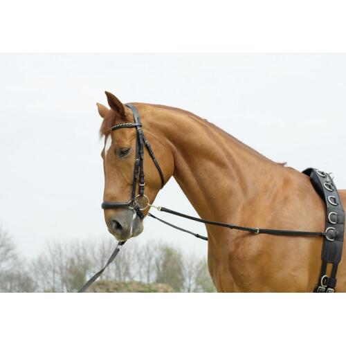 Busse Ausbindezügel BASIC-STARR