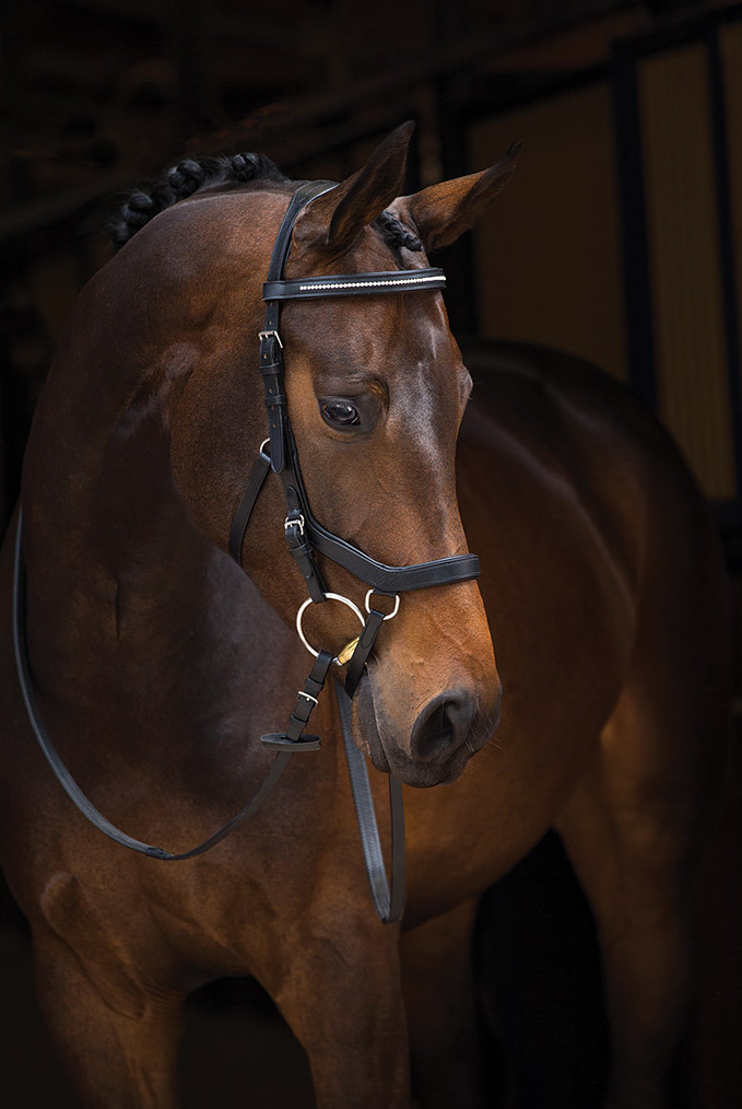 Horseware Rambo Micklem Competition Bridle Diamant